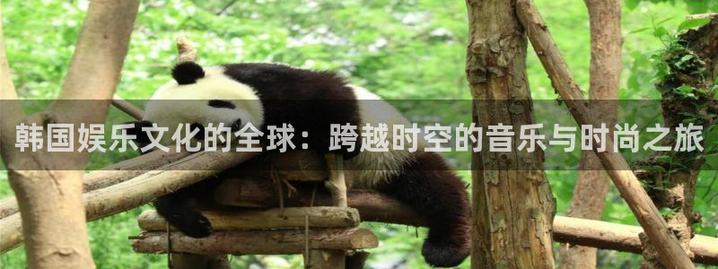 新宝gg一键登录：韩国娱乐文化的全球：跨越时空的音乐与时尚之旅