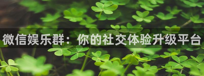新宝gg娱乐：微信娱乐群：你的社交体验升级平台