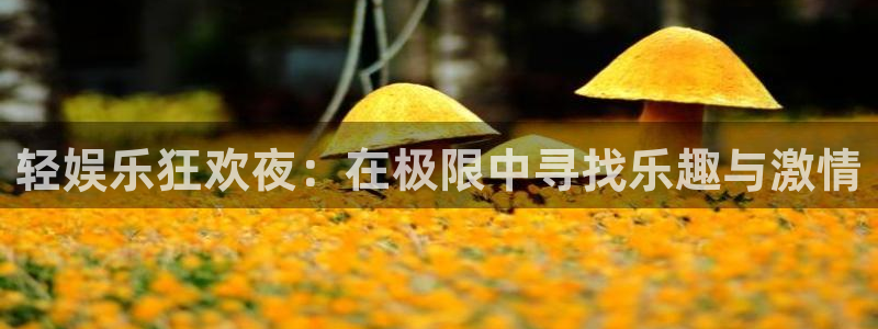 新宝gg注册：轻娱乐狂欢夜：在极限中寻找乐趣与激情