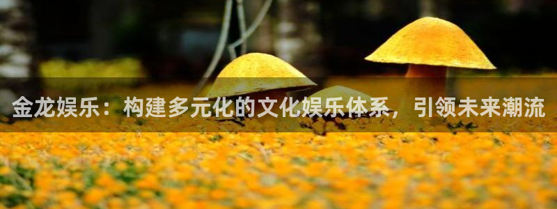 新宝5：金龙娱乐：构建多元化的文化娱乐体系，引领未来潮流