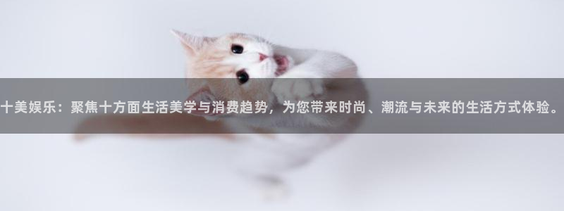 新宝5：十美娱乐：聚焦十方面生活美学与消费趋势，为您带来时尚、潮流与未来的生活方式体验。