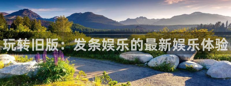 新宝gg官网登录：玩转旧版：发条娱乐的最新娱乐体验