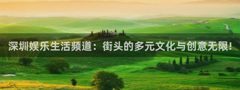 新宝gg平台：深圳娱乐生活频道：街头的多元文化与创意无限!