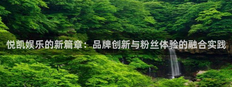 新宝gg平台：悦凯娱乐的新篇章：品牌创新与粉丝体验的融合实践