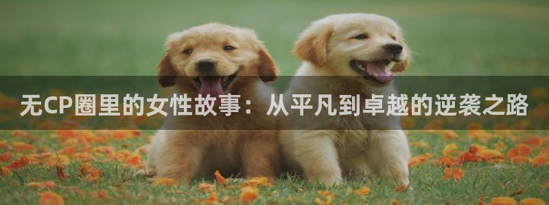 新宝5：无CP圈里的女性故事：从平凡到卓越的逆袭之路