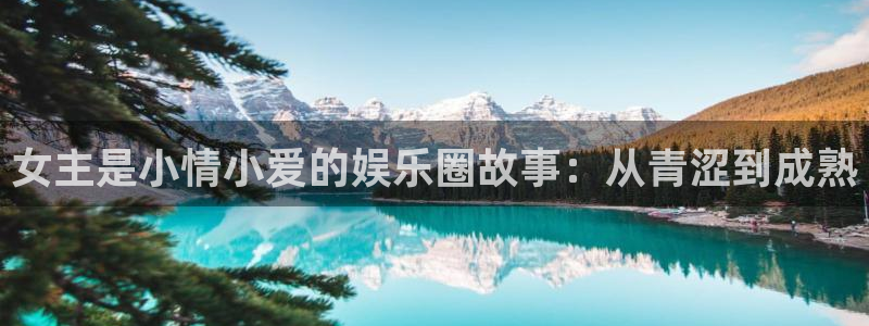 下载新宝5：女主是小情小爱的娱乐圈故事：从青涩到成熟