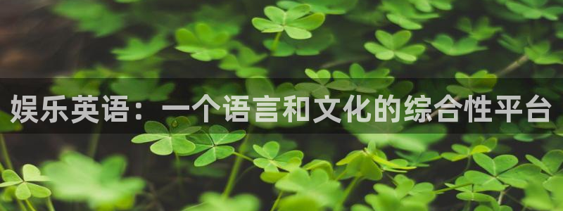 新宝gg在线注册